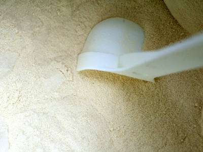 whey vegano