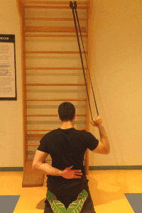 exercícios com elástico