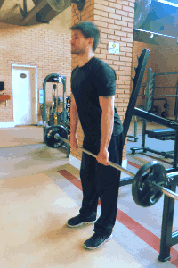 exercícios para gluteos