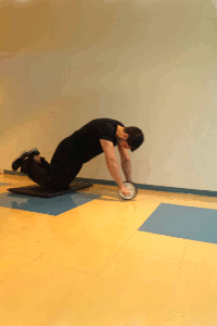 abdominal roda